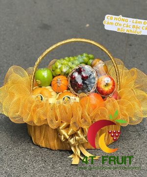 Giỏ Trái Cây - TC25