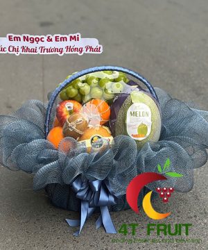 Giỏ Trái Cây - TC19