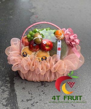Giỏ Trái Cây - TC04